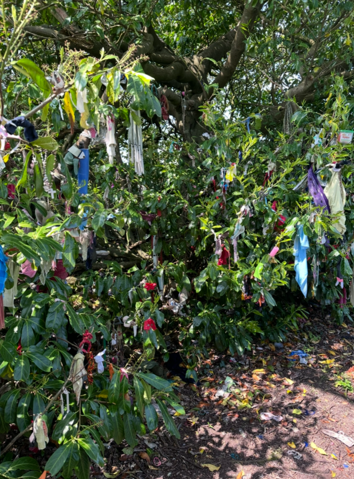 Authentic Irish Handcrafted St. Brigid’s Crosses  Made with Care and Tradition.