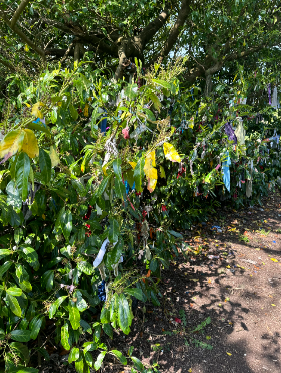 Authentic Irish Handcrafted St. Brigid’s Crosses  Made with Care and Tradition.